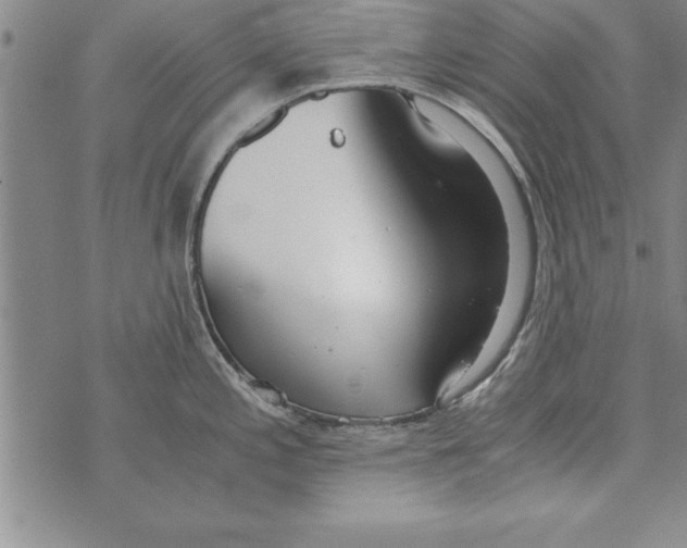 X0000073901197200609082140