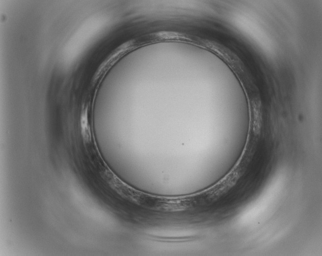 X0000073901198200609082140