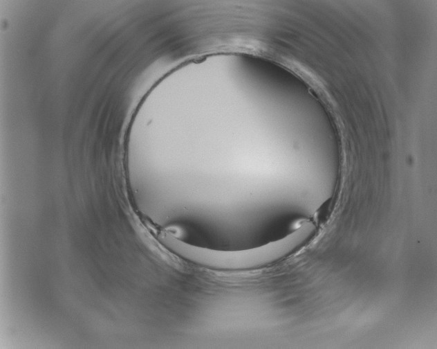 X0000073901200200609082140