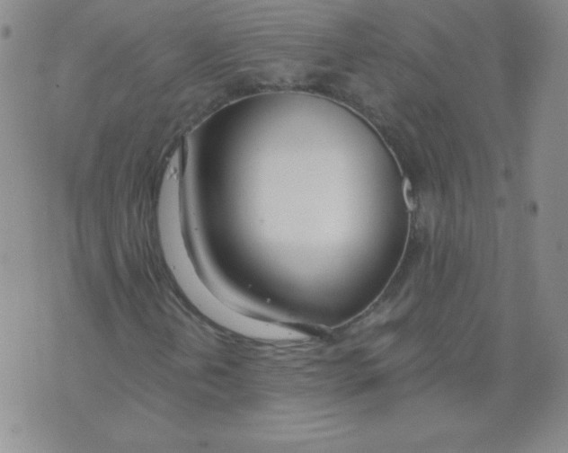 X0000073901202200609082139