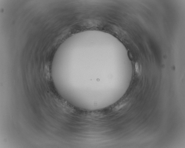 X0000073901203200609082139