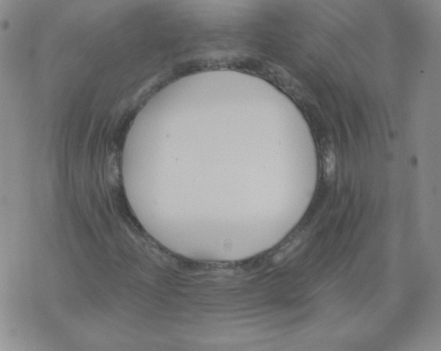 X0000073901204200609082139