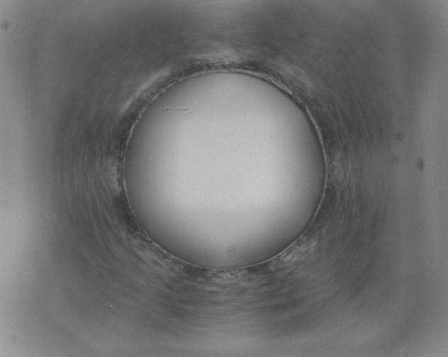 X0000073901205200609082139