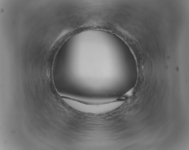 X0000073901206200609082139