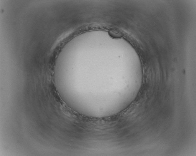 X0000073901207200609082139