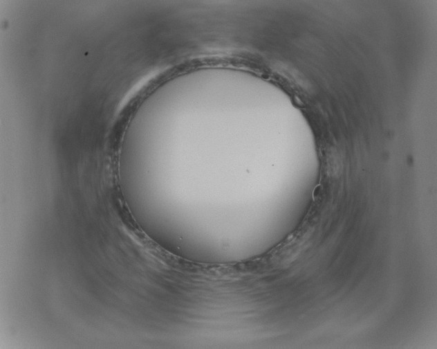 X0000073901208200609082139