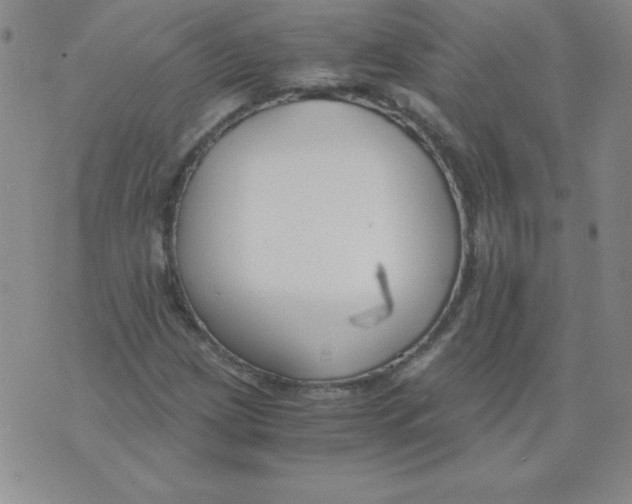 X0000073901209200609082139