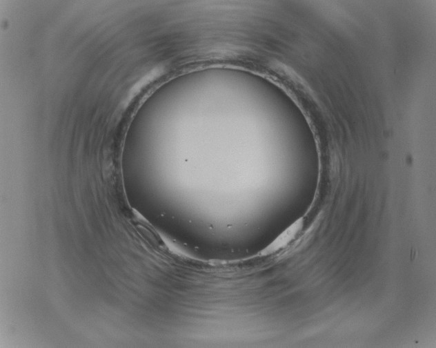 X0000073901210200609082139