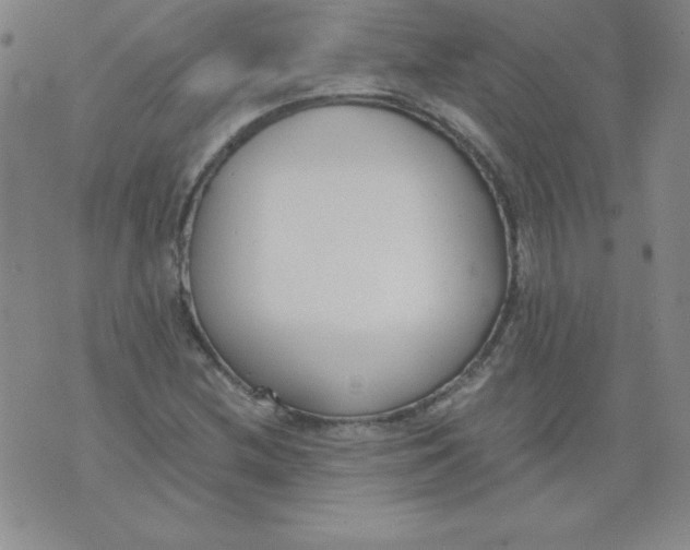 X0000073901212200609082139