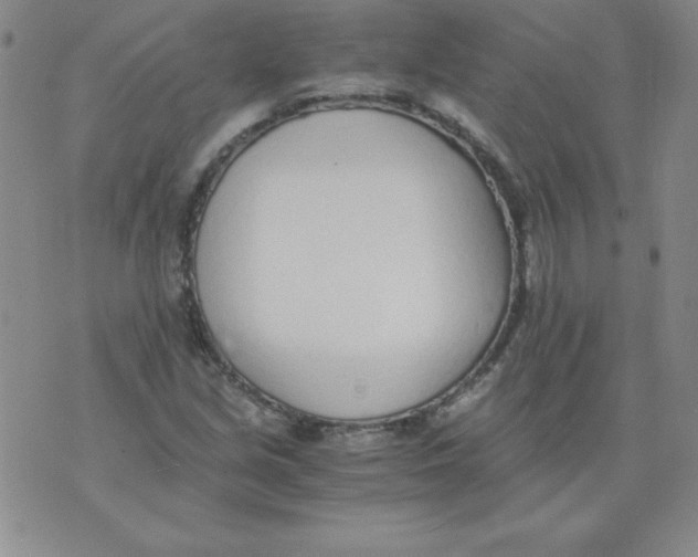 X0000073901213200609082139