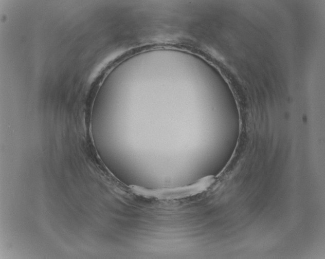 X0000073901214200609082139