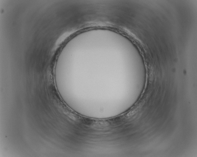 X0000073901215200609082139