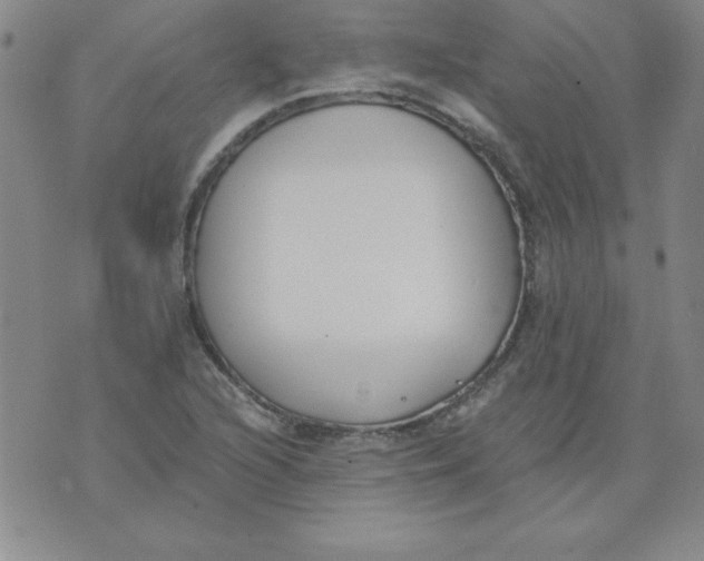 X0000073901216200609082139