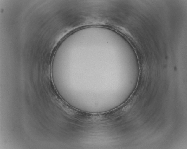 X0000073901220200609082139