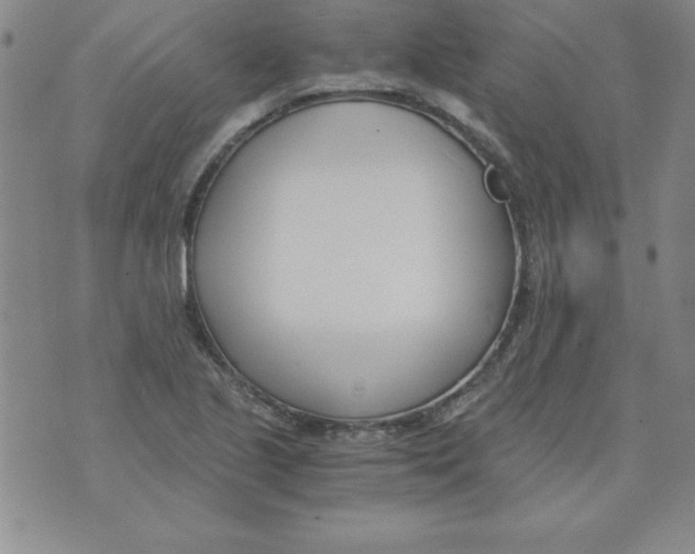 X0000073901221200609082139