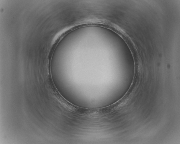 X0000073901222200609082139