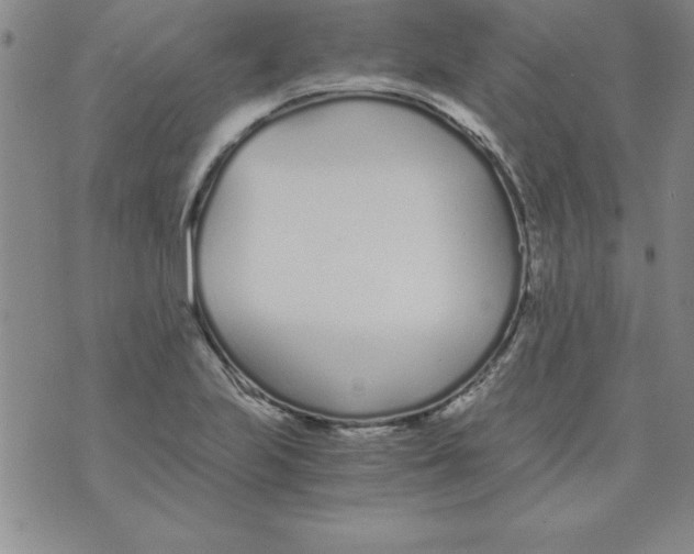 X0000073901223200609082139