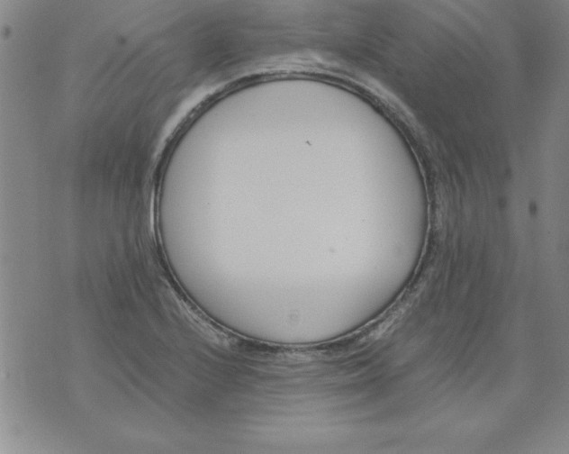 X0000073901224200609082139