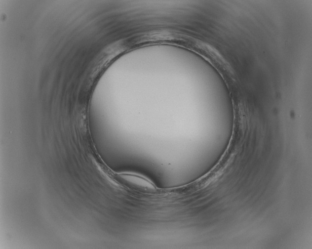 X0000073901225200609082139