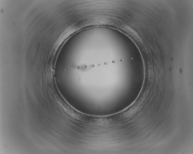 X0000073901226200609082139