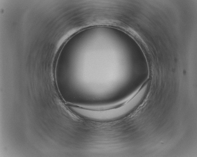 X0000073901230200609082139