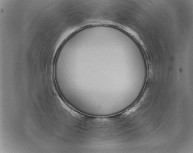 X0000073901231200609082139