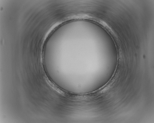 X0000073901232200609082139