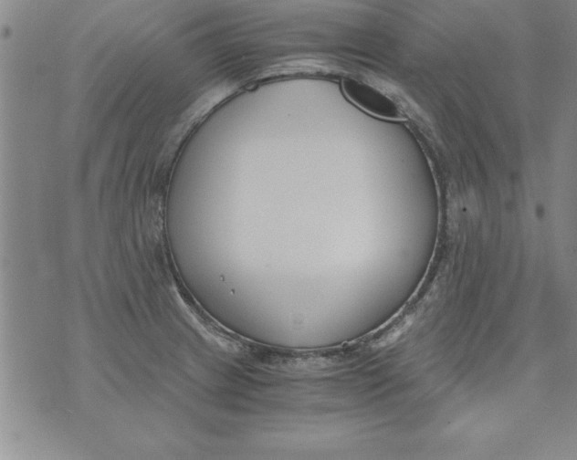 X0000073901233200609082140