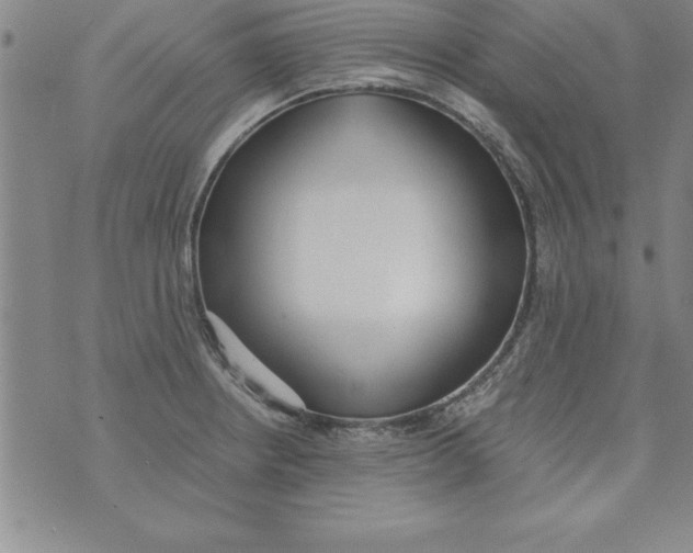 X0000073901234200609082140