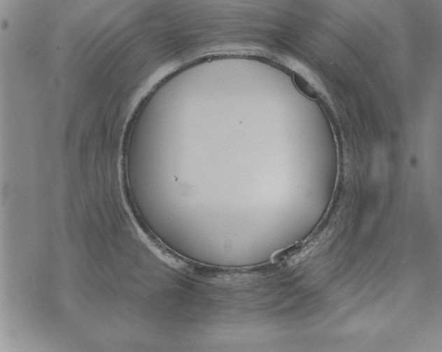 X0000073901237200609082140