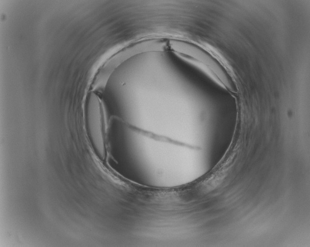 X0000073901238200609082140