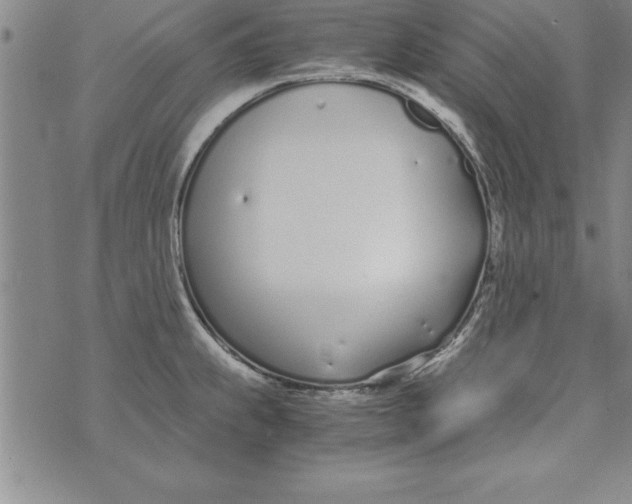 X0000073901239200609082140