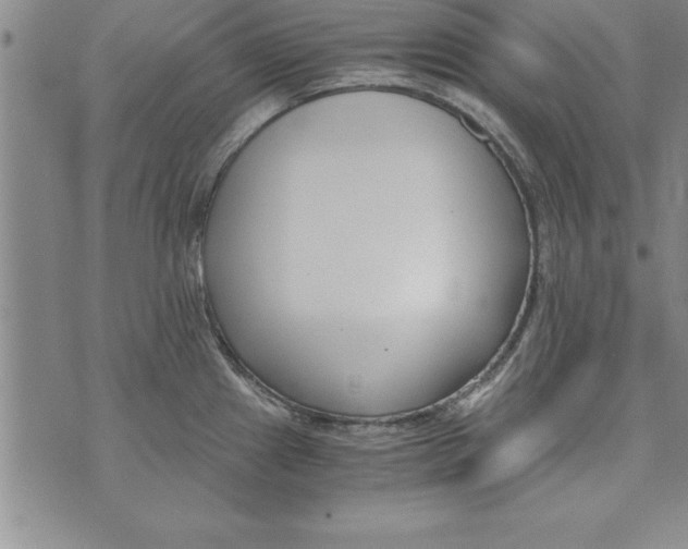 X0000073901241200609082140