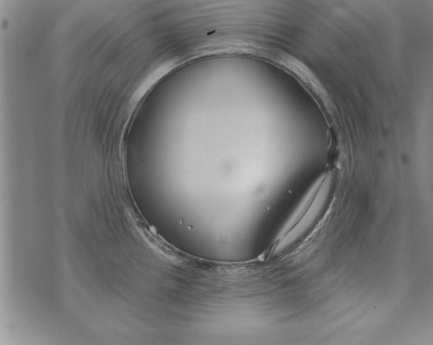 X0000073901242200609082140