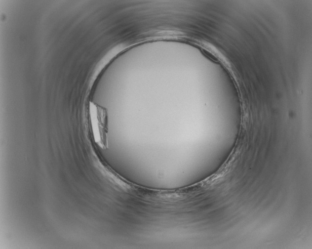 X0000073901243200609082140