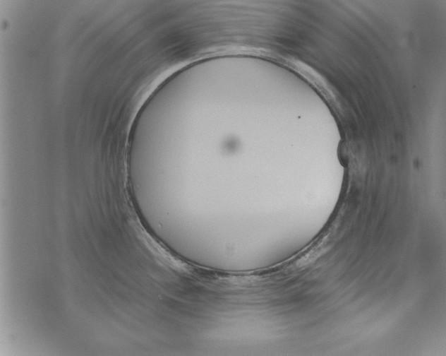 X0000073901244200609082140