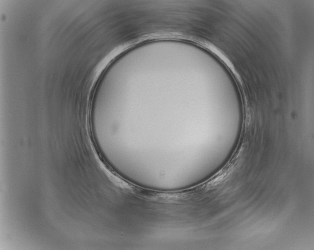 X0000073901245200609082140