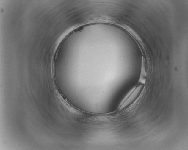 X0000073901246200609082140