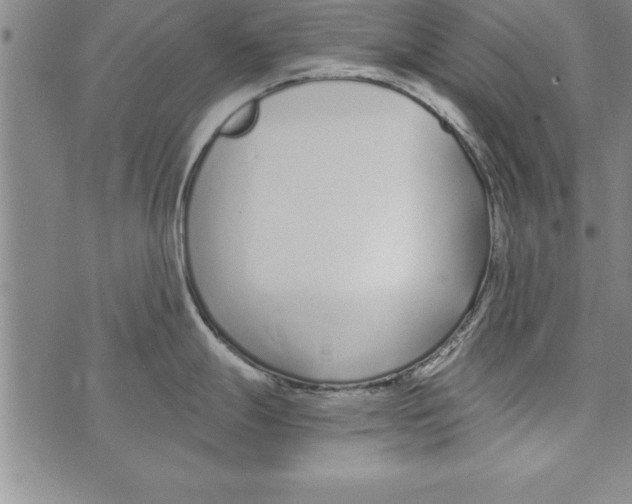 X0000073901247200609082140