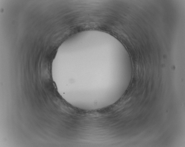 X0000073901250200609082139