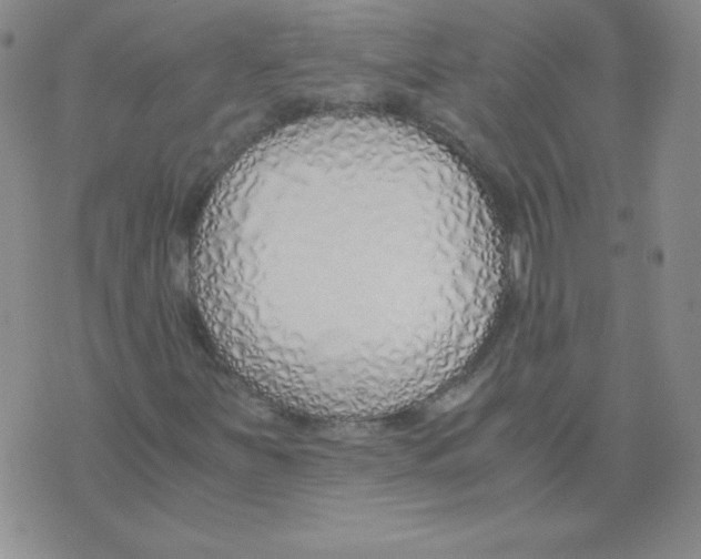 X0000073901251200609082139