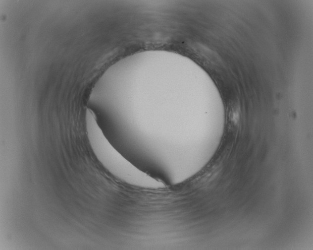 X0000073901252200609082139