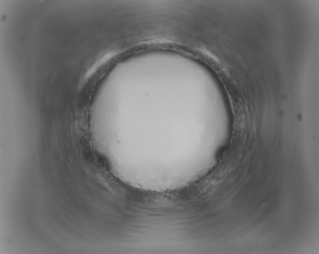 X0000073901255200609082139