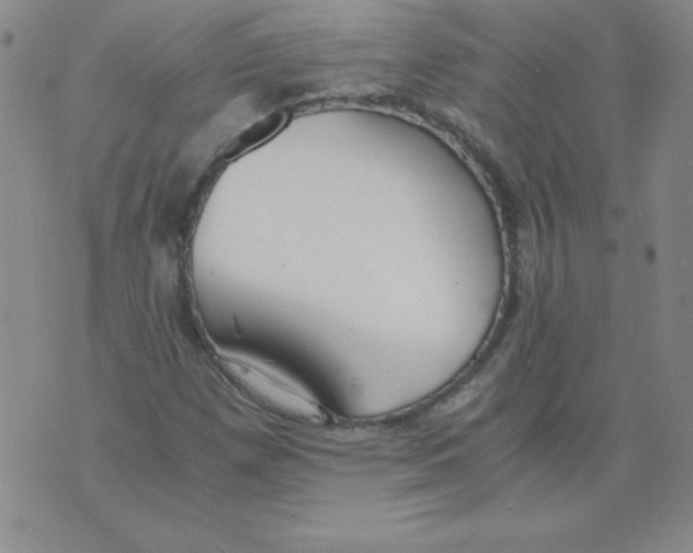 X0000073901257200609082139