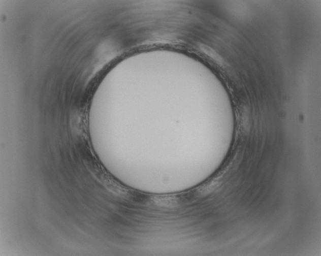 X0000073901258200609082139