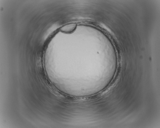 X0000073901259200609082139