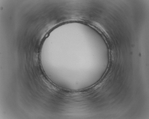 X0000073901260200609082139