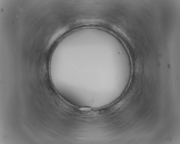 X0000073901261200609082139