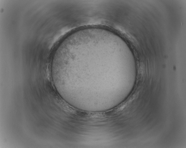 X0000073901262200609082139