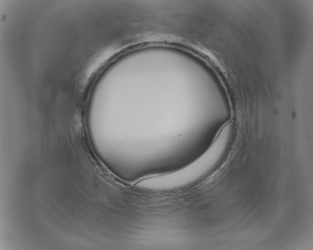 X0000073901263200609082139